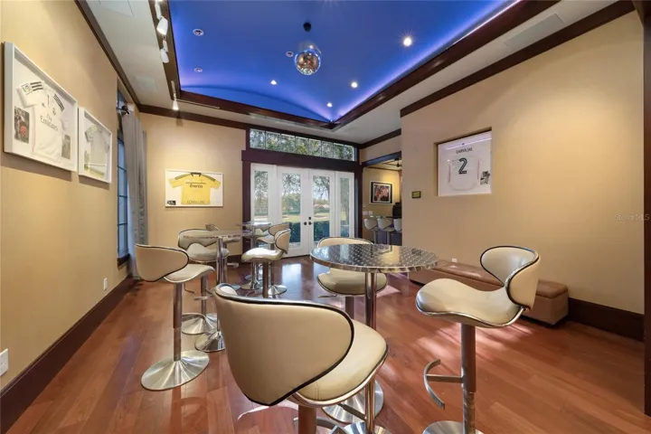 Entertainment Room / Bar