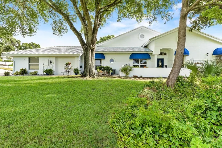 Room to roam...in tree shaded yard!