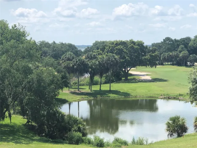 This is your view daily from your home!