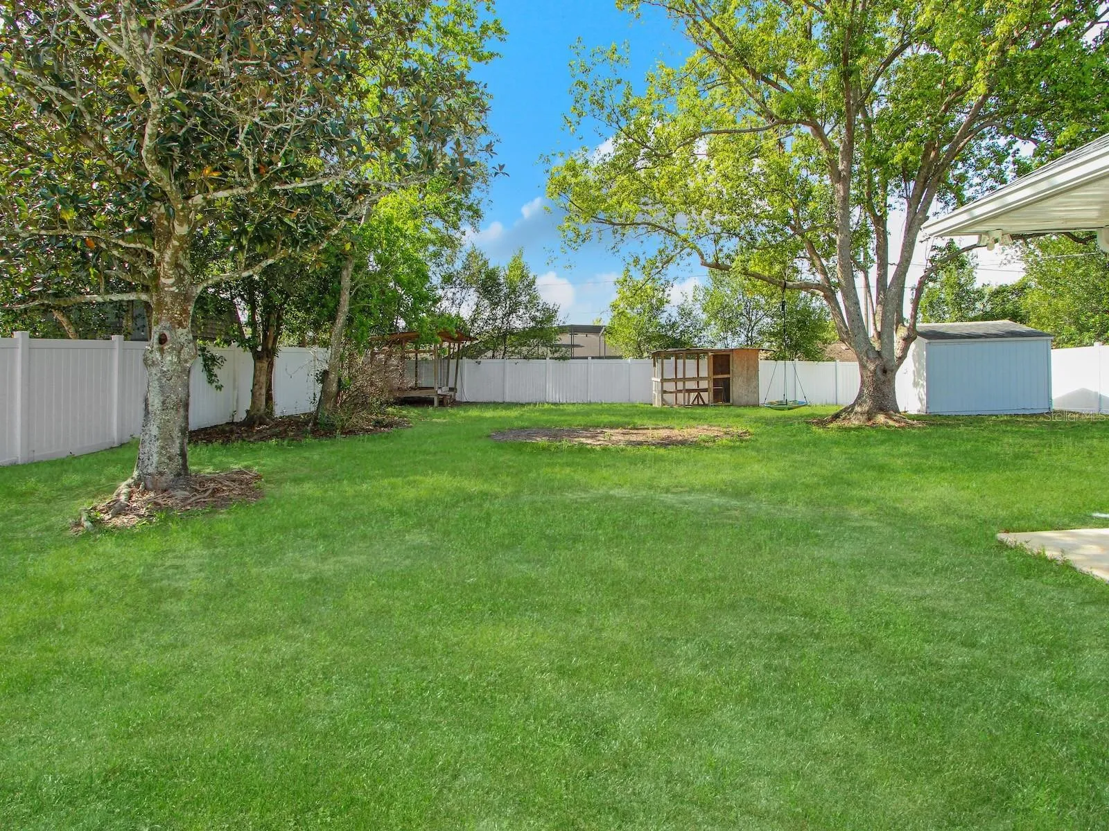 Back yard