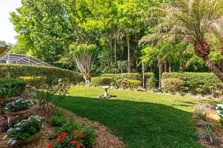 Private backyard with trees and no rear neighbors.