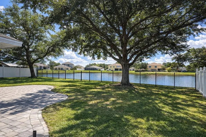 Backyard view