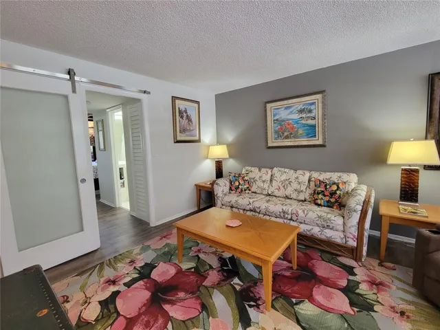 Spacious and functional living room