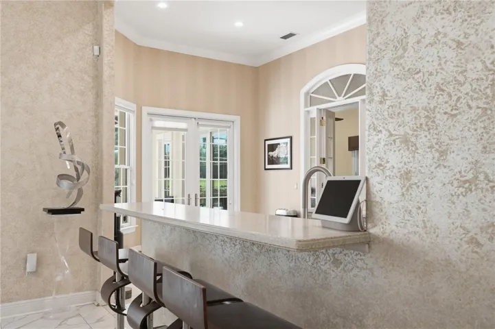 Bar stools and countertop