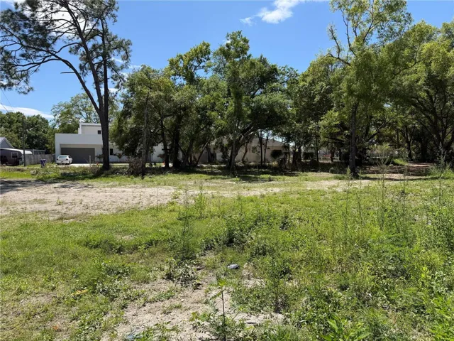 View from the back of the lot