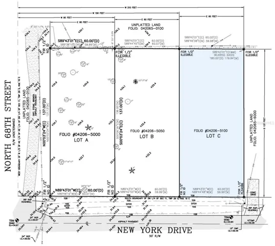 Lot C survey