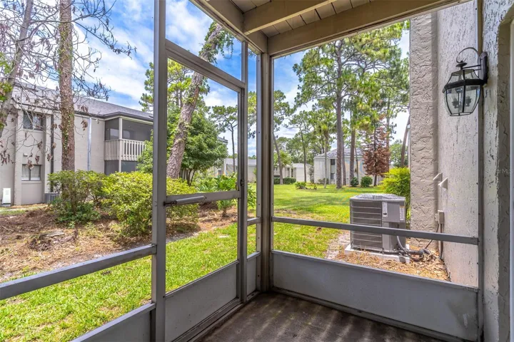 Views from Screened-In Patio