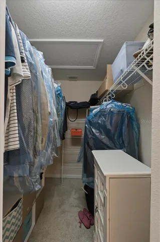 Primary bedroom closet