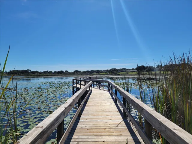 Dock