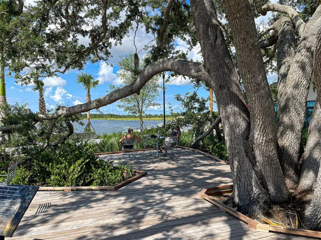 Live Oak of Wellen Park