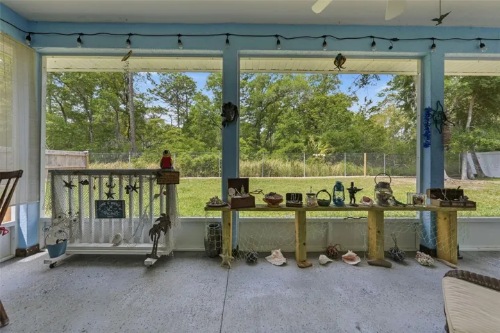 Your view of the Ocala National Forest