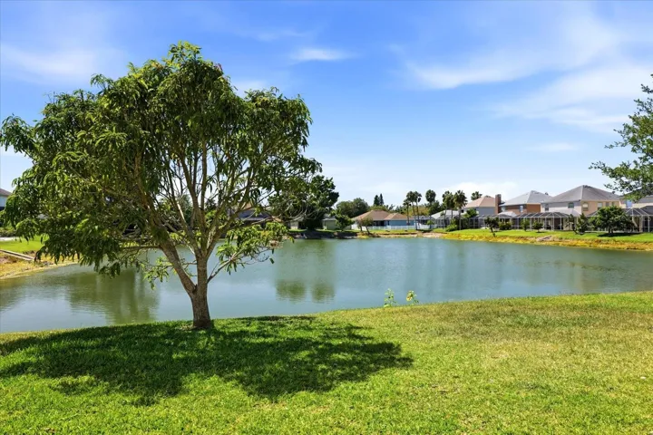Backyard Views