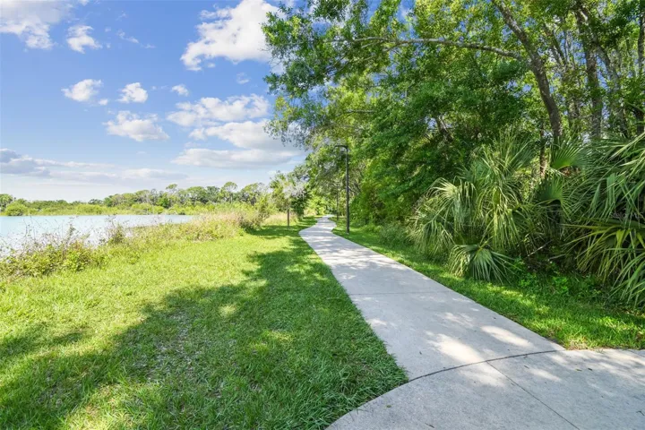 Scenic Sidewalk With Greenery