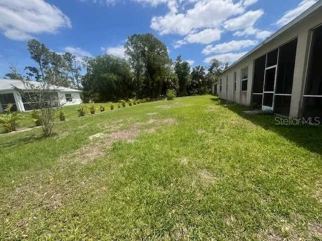 backyard