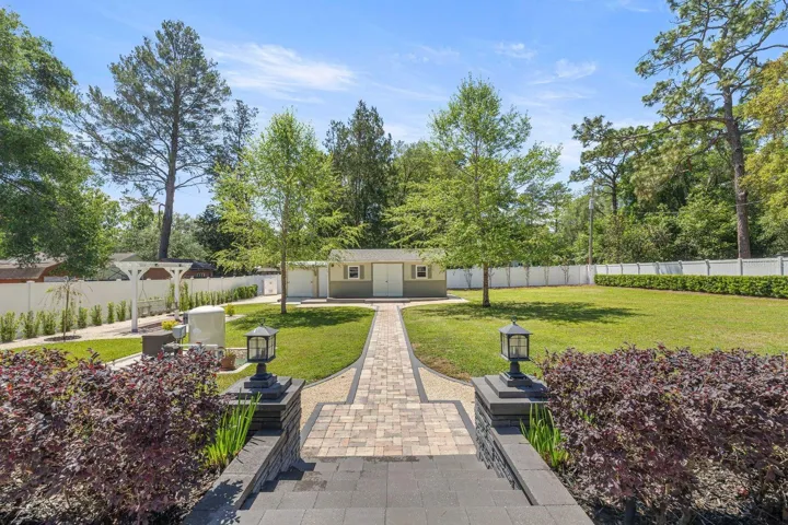 View to Backyard