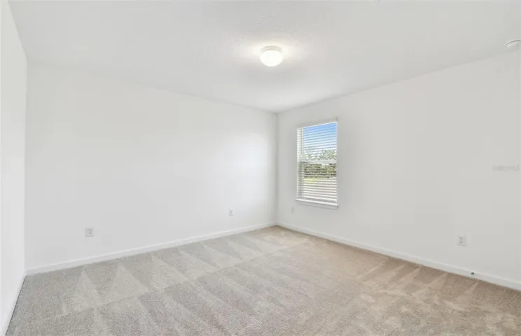 Model Representation