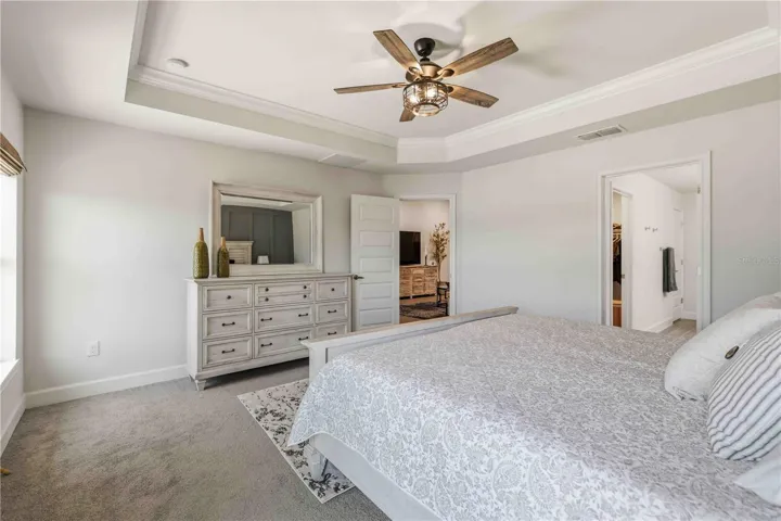 Ceiling Fan