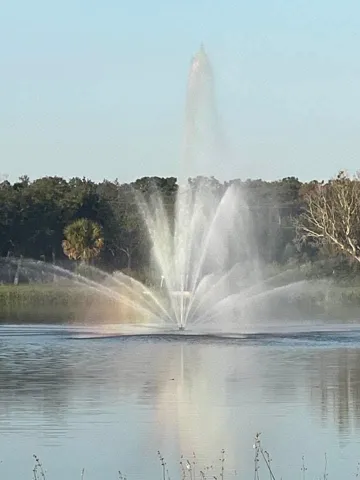 Water Pond Behind