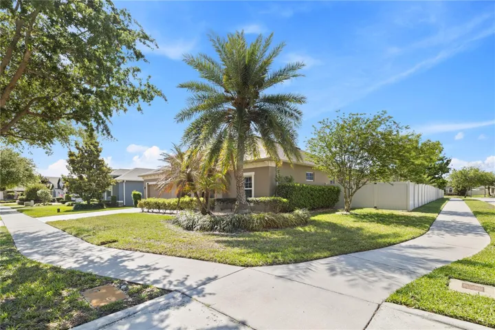 Fenced Corner Lot