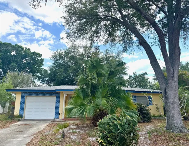 Welcome to 1035 Robmar Rd., Dunedin