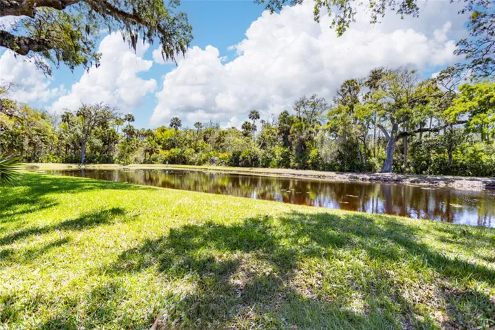 View of pond from backyard
