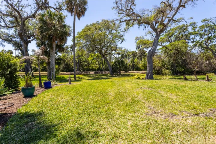 Backyard view