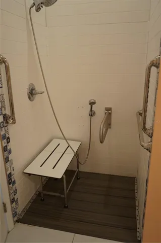 roll in shower
