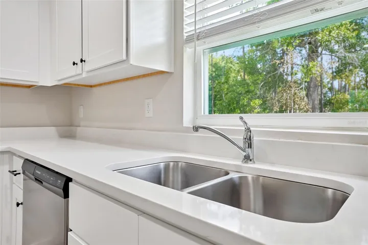 View from Kitchen Sink