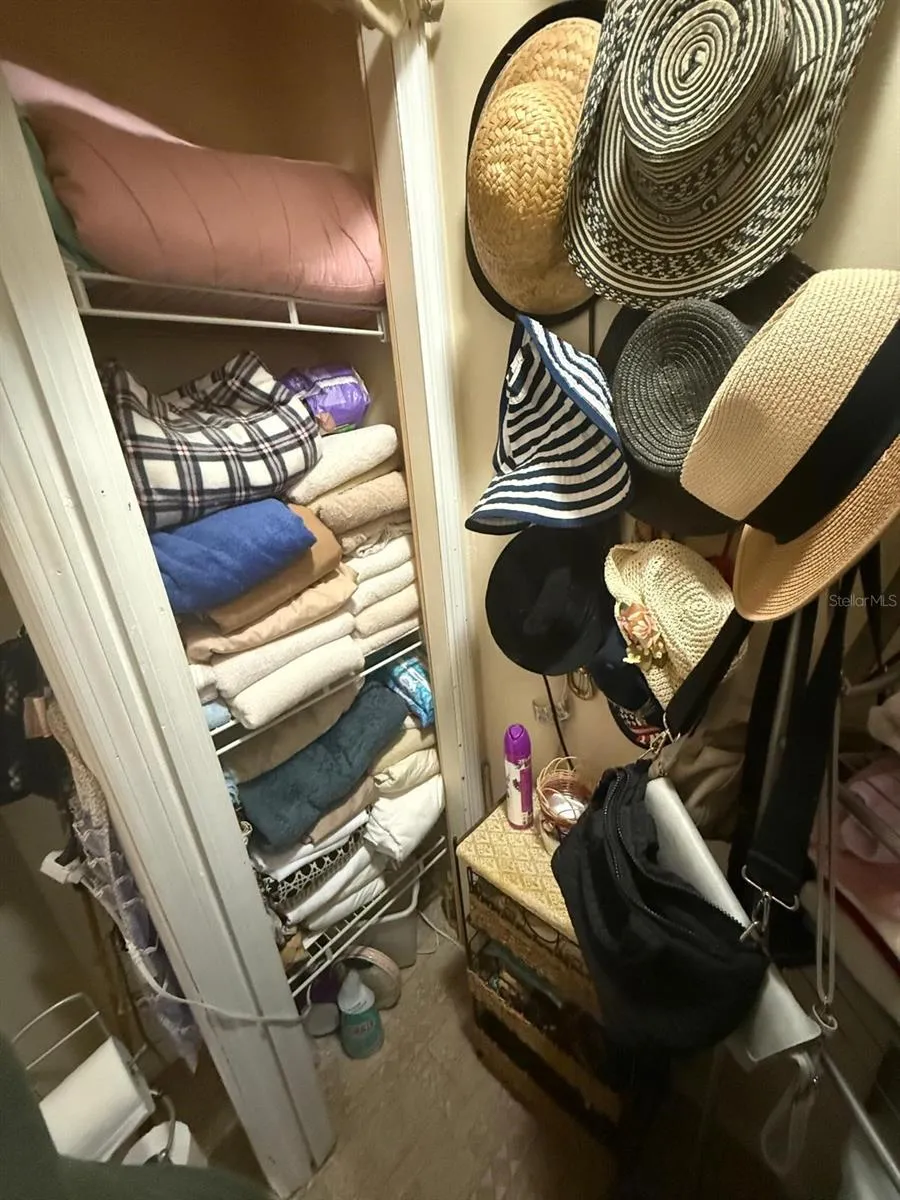 Primary Second Closet