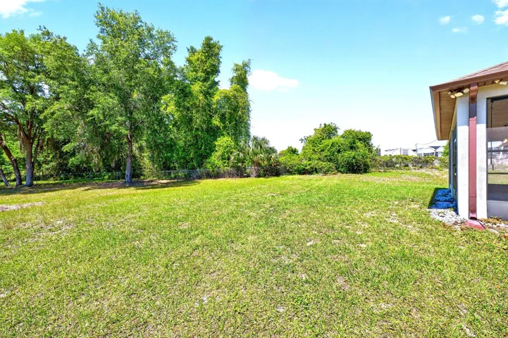 Expansive backyard, view of trees.