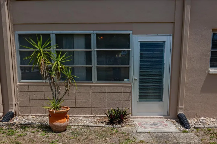 Back Door