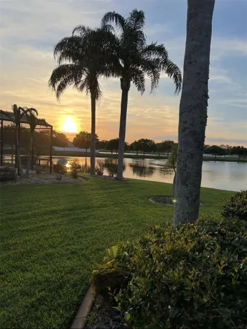 Evening sunsets