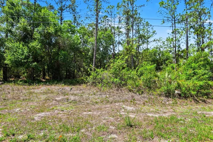 711 Wellington Ave Lehigh Acres FL