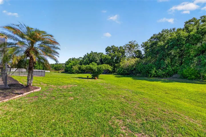 Ample Green Space