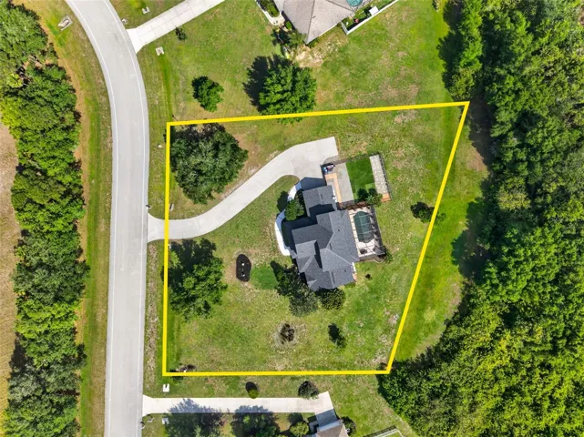 Full Plot View