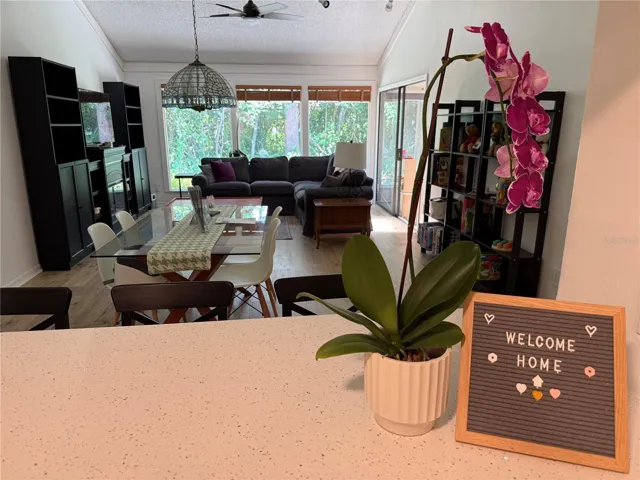 Dining / Living Room View