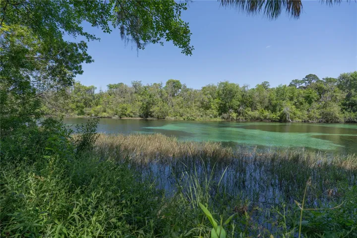 Rainbow Springs River