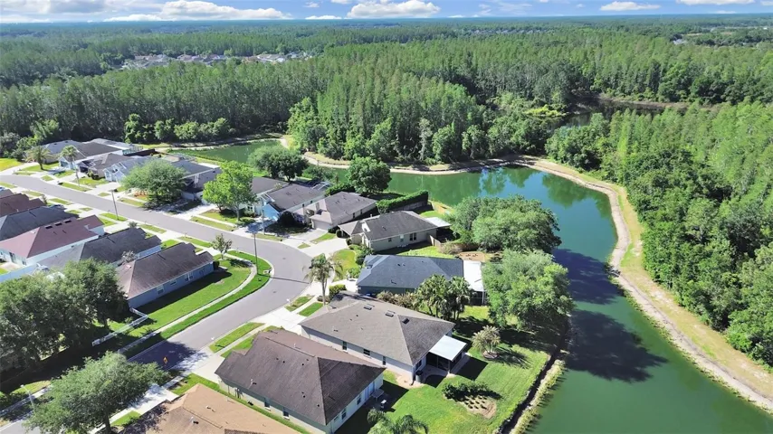Gorgeous Pond View