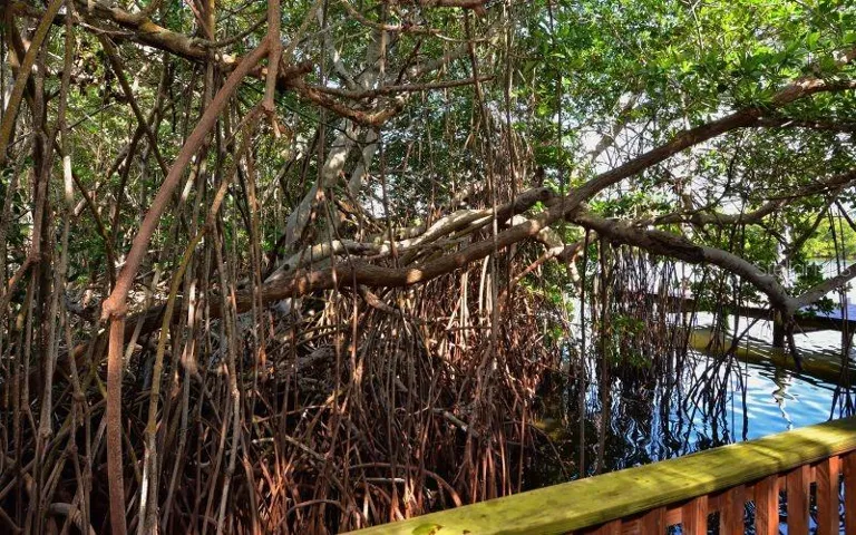 1170