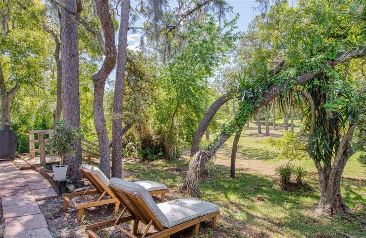 Backyard. 2