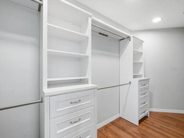 Large closet off Primary bathroom with built-ins