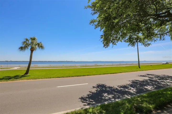 Across the Street is Bayshore Blvd
