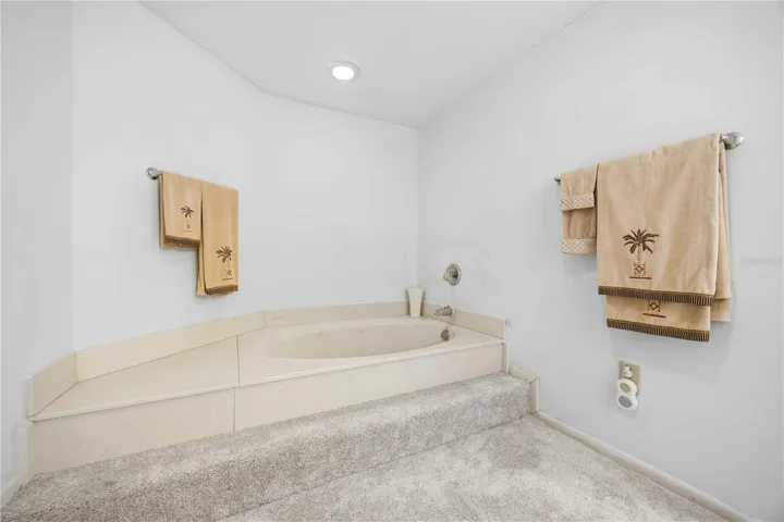 Primary Bathtub