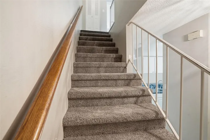 stairs new carpet