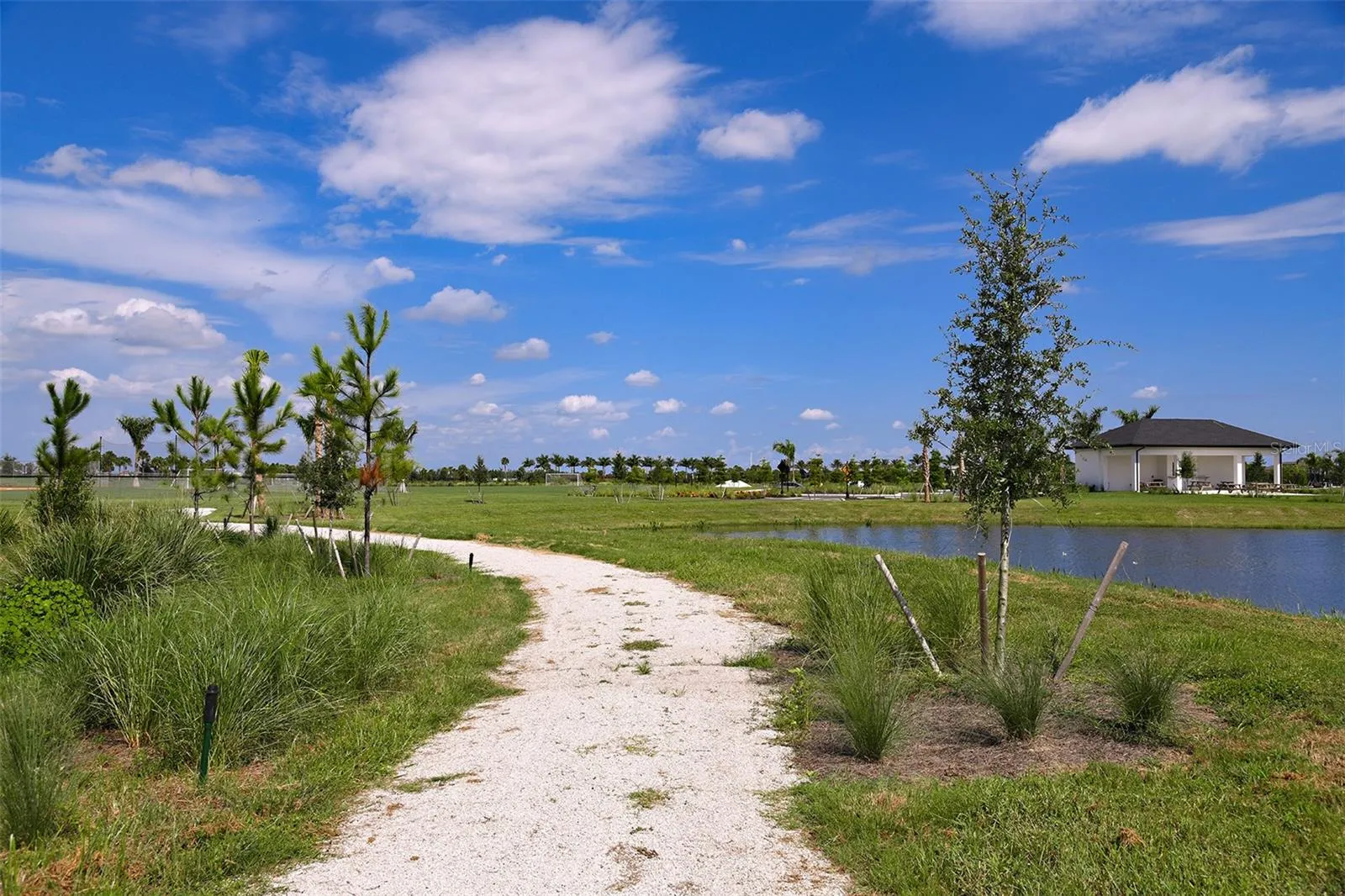 Cassia at Skye Ranch Community