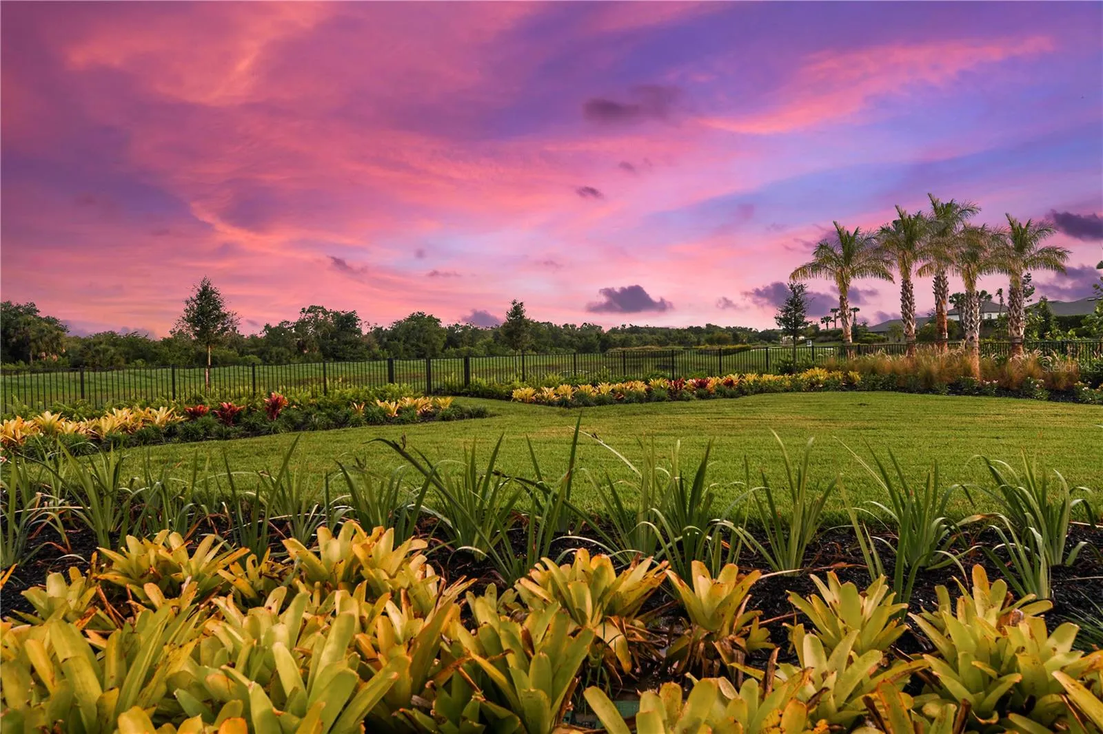 Cassia at Skye Ranch Community