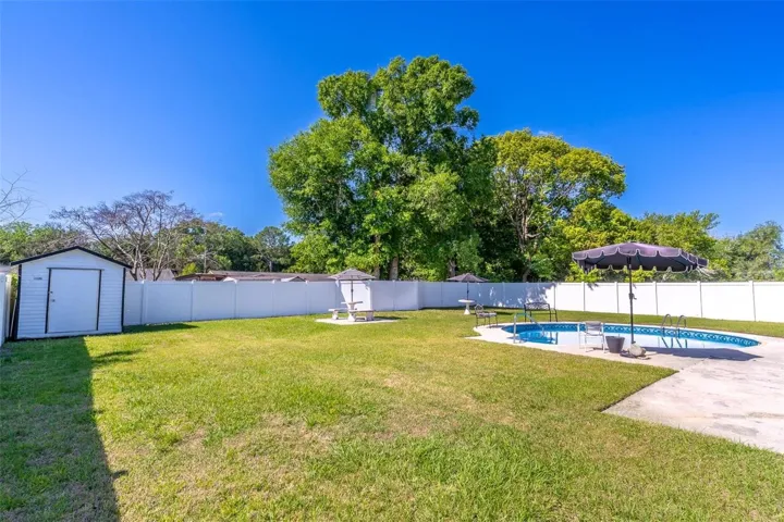 Backyard