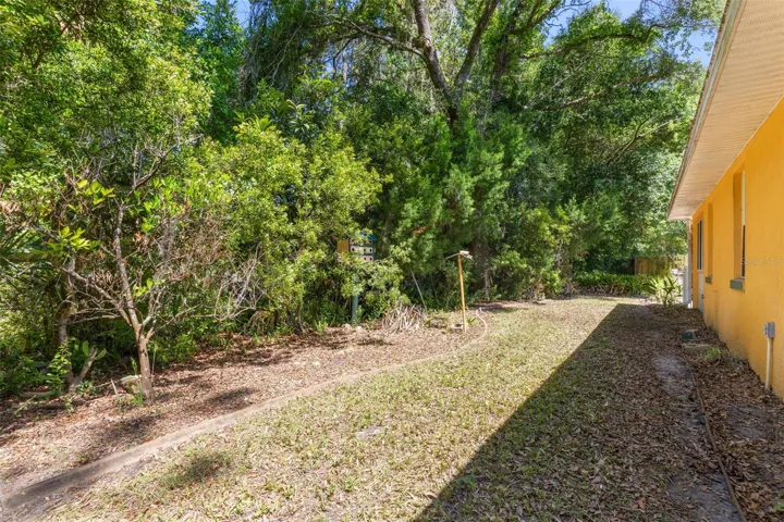 Side yard