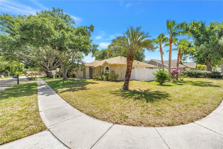 Front and Side Yard