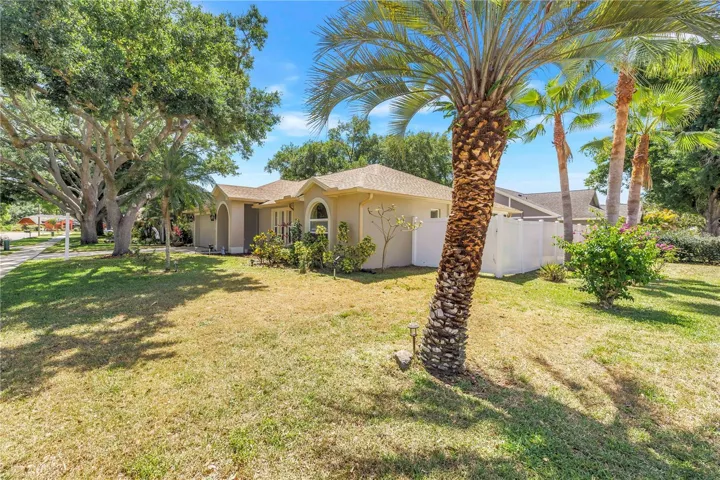 Front and Side Yard